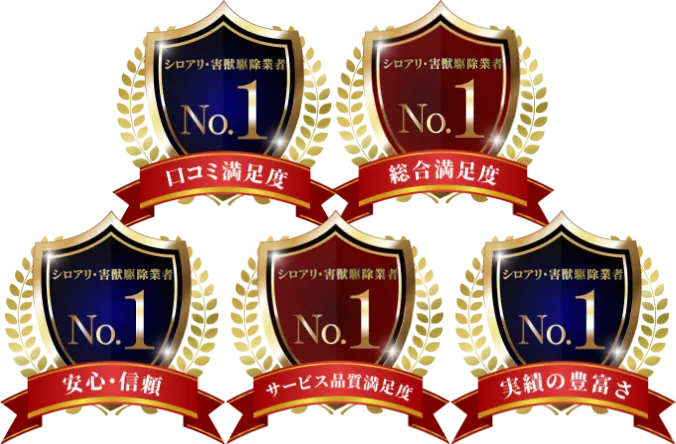 ランク