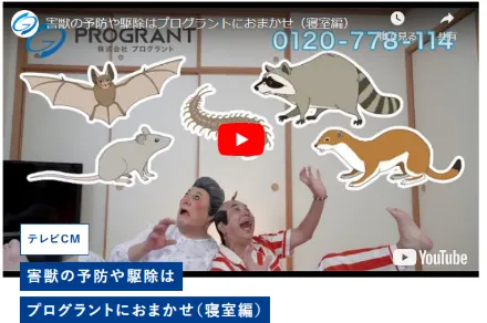 TV画像