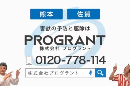 TV画像