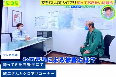 TV画像